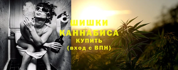 крисы Вязьма