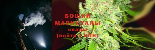крисы Вязьма