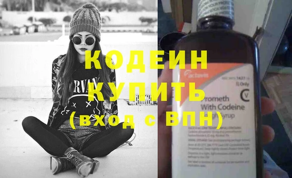 крисы Вязьма
