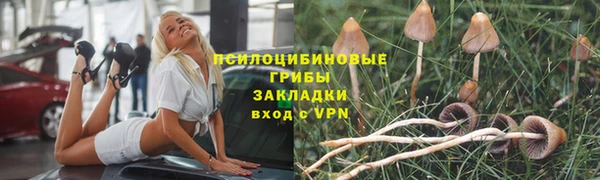 хмурый Вязники