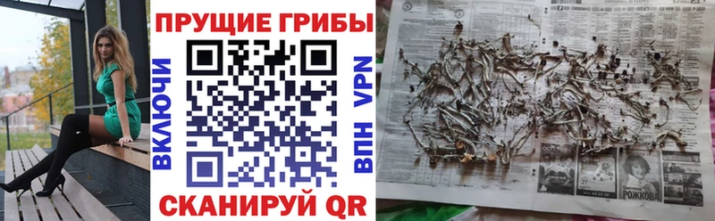 Купить закладки  Мончегорск  Псилоцибиновые грибы мухоморы 